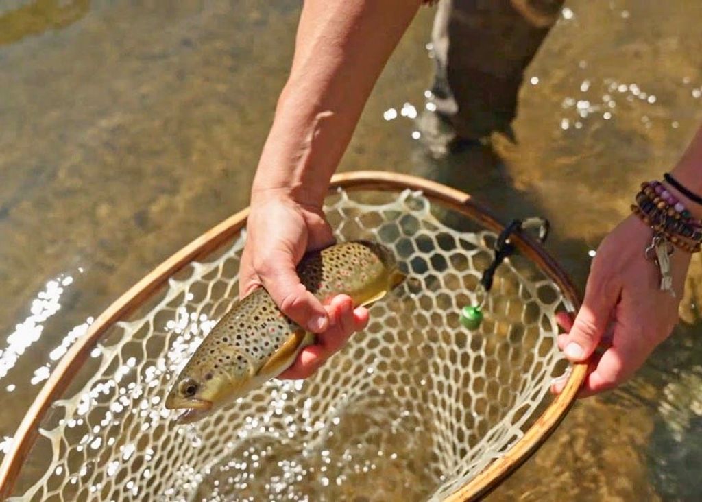 2978 Hwy 296, Cody, WY 82414 photo 14