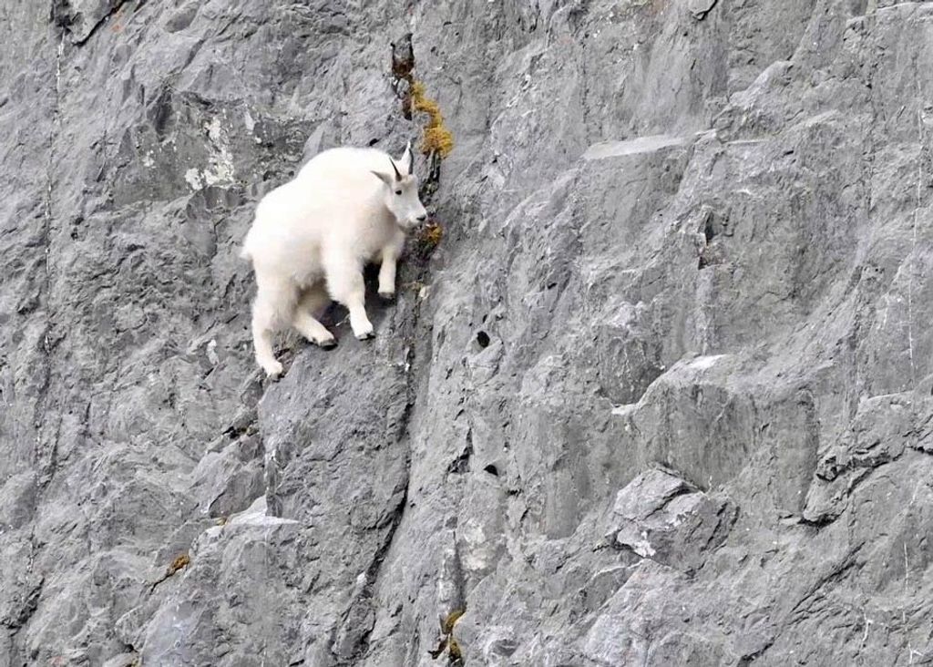 2978 Hwy 296, Cody, WY 82414 photo 16