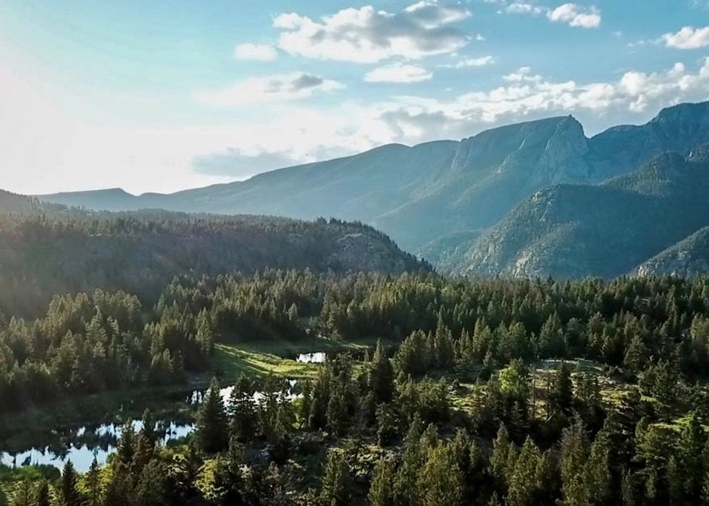 2978 Hwy 296, Cody, WY 82414 photo 5