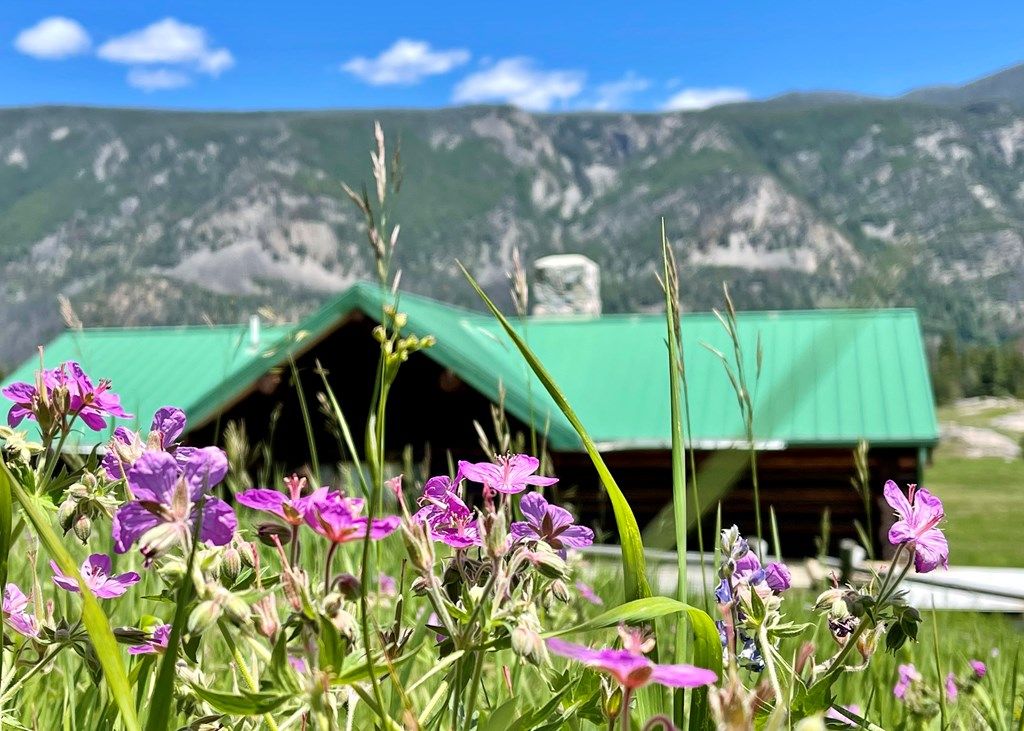 2978 Hwy 296, Cody, WY 82414 photo 10