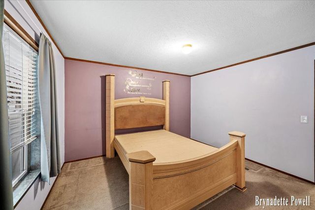 134 N 5th Street NE, Cedar Springs, MI 49319