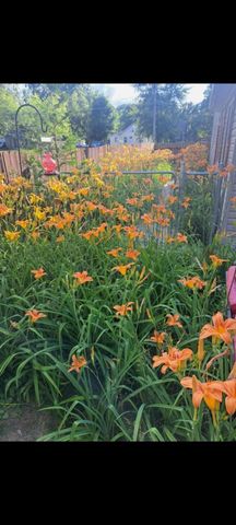 134 N 5th Street NE, Cedar Springs, MI 49319