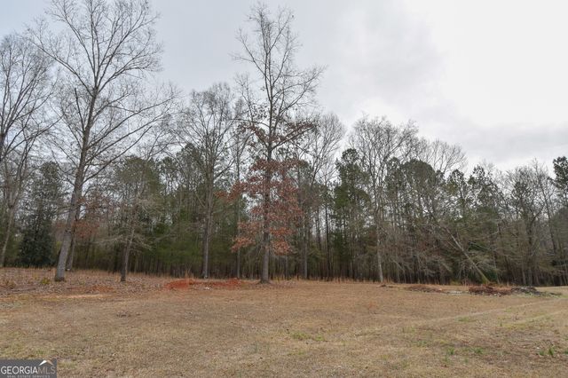 276 Head Street, Zebulon, GA 30295