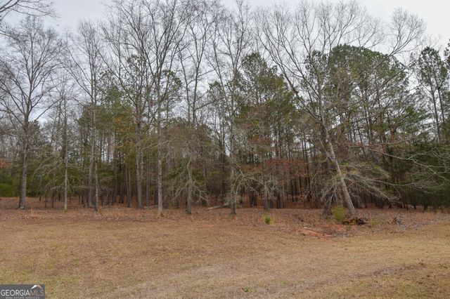 276 Head Street, Zebulon, GA 30295