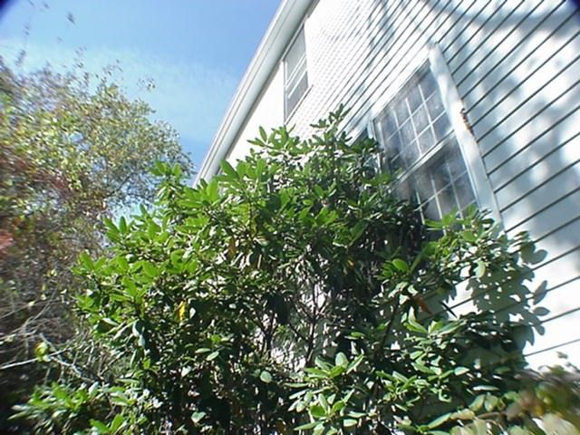 66 Newland Avenue, Bellingham, MA 02019