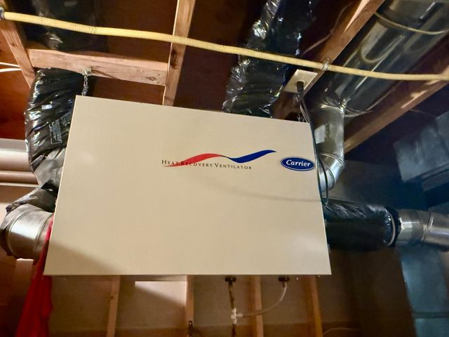 236 Wilson Street, Alden, MN 56009