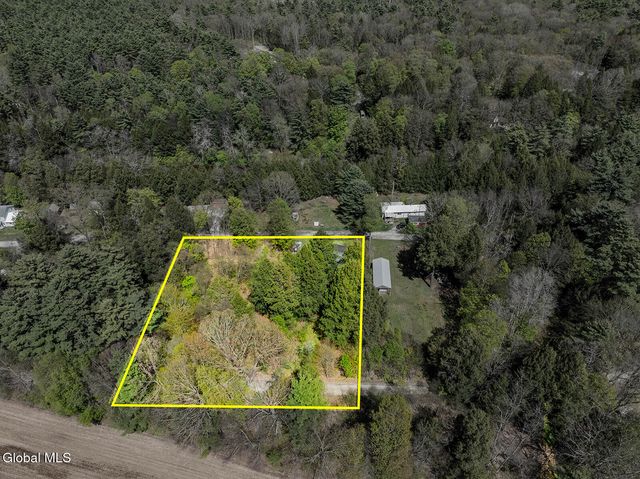 42 Battenkill Evergreens, Jackson, NY 12865