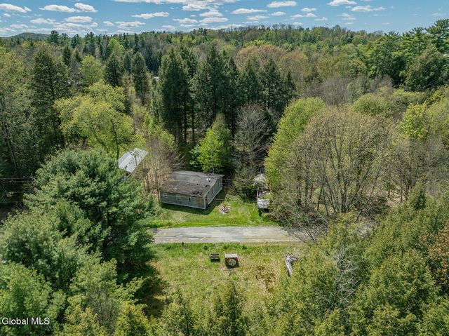 42 Battenkill Evergreens, Jackson, NY 12865