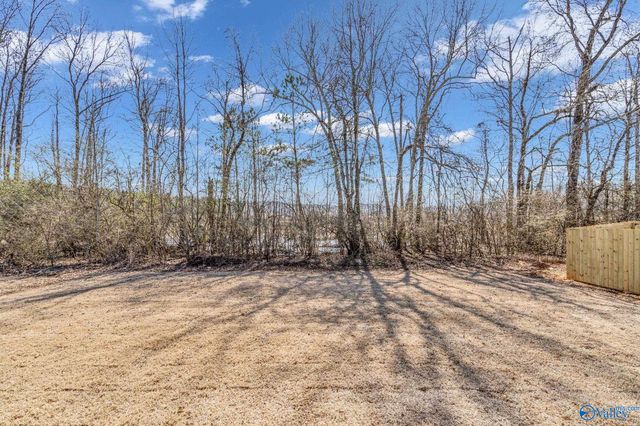 15414 Springbrook Trace, Athens, AL 35611