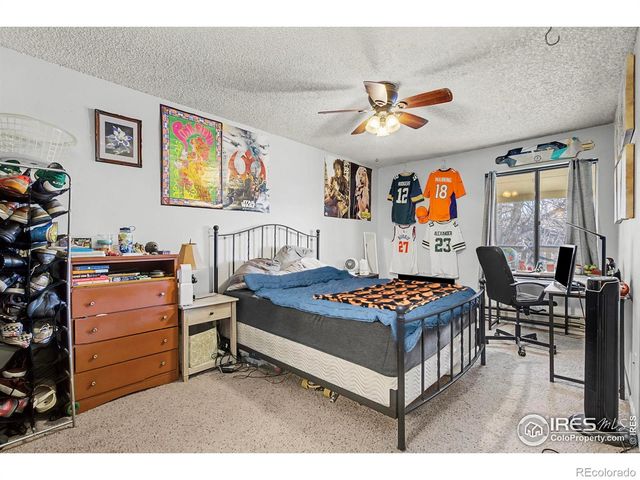 1118 City Park Avenue, Fort Collins, CO 80521