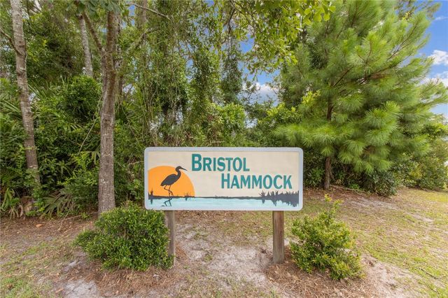 951 Bristol Hammock Circle, Kingsland, GA 31548
