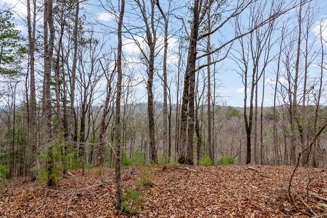 lot 1694 Shade Tree Drive, Talking Rock, GA 30175
