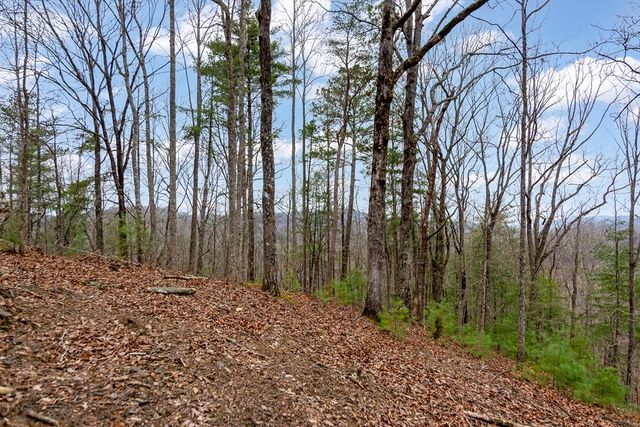 lot 1694 Shade Tree Drive, Talking Rock, GA 30175