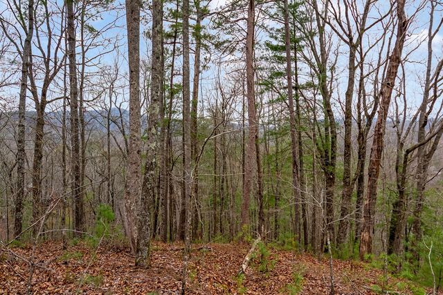 lot 1694 Shade Tree Drive, Talking Rock, GA 30175