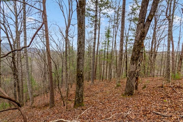 lot 1694 Shade Tree Drive, Talking Rock, GA 30175