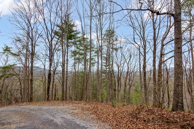 lot 1694 Shade Tree Drive, Talking Rock, GA 30175