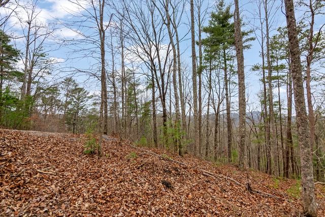 lot 1694 Shade Tree Drive, Talking Rock, GA 30175