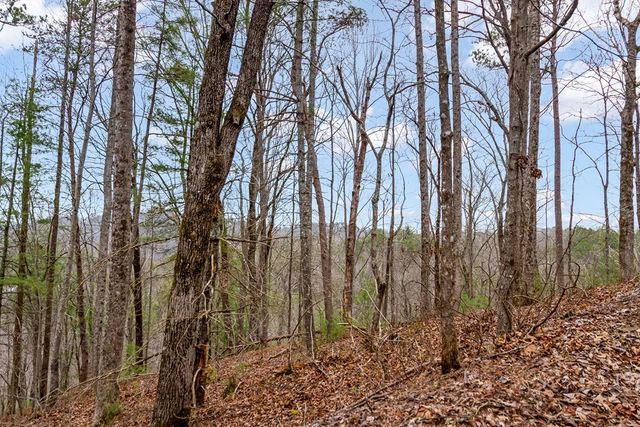 lot 1694 Shade Tree Drive, Talking Rock, GA 30175