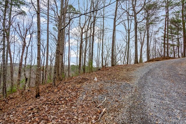 lot 1694 Shade Tree Drive, Talking Rock, GA 30175