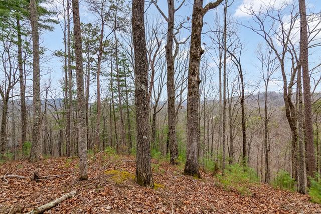 lot 1694 Shade Tree Drive, Talking Rock, GA 30175