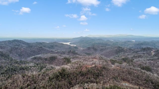 lot 1694 Shade Tree Drive, Talking Rock, GA 30175