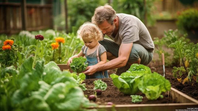 13276 Hanging Willow, San Antonio, TX 78245