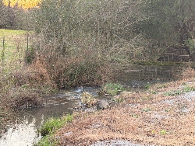 652 Ella West Cir, Lynnville, TN 38472