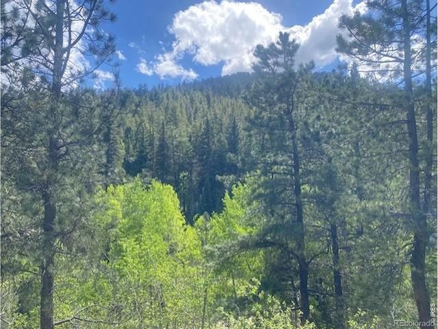 279 Switzerland Park Road, Boulder, CO 80302