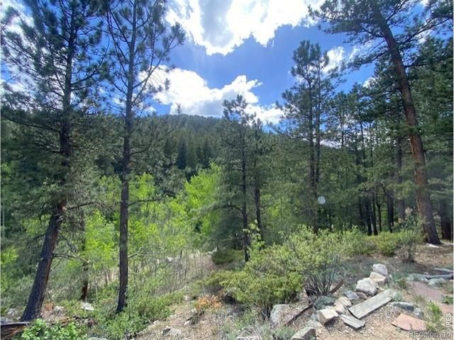 279 Switzerland Park Road, Boulder, CO 80302