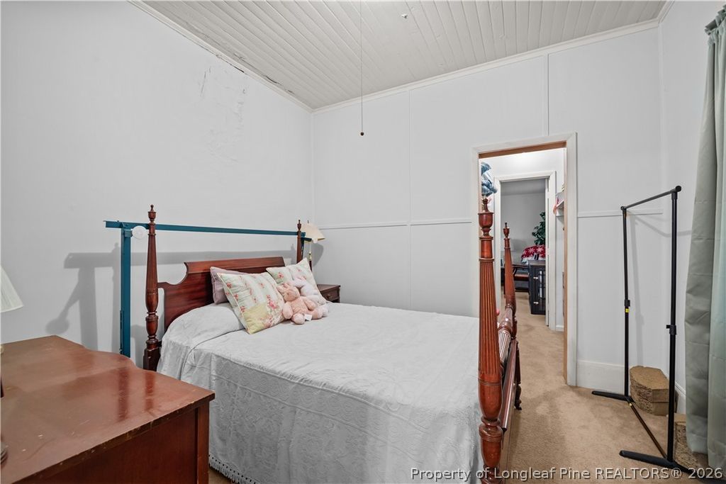 203 E Clinton Street, Roseboro, NC 28382 — photo 17