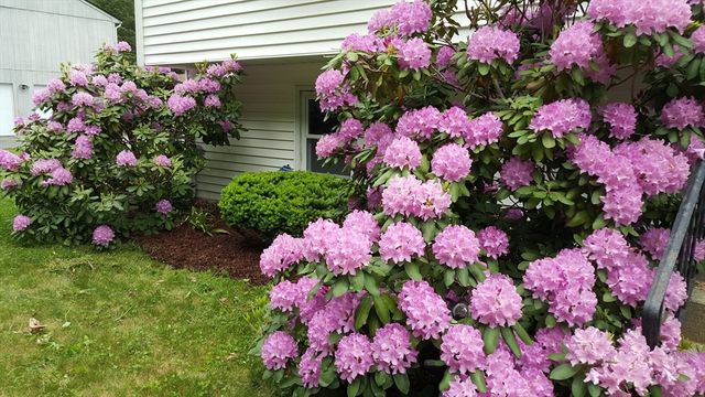 48 Badger Rd, Framingham, MA 01702