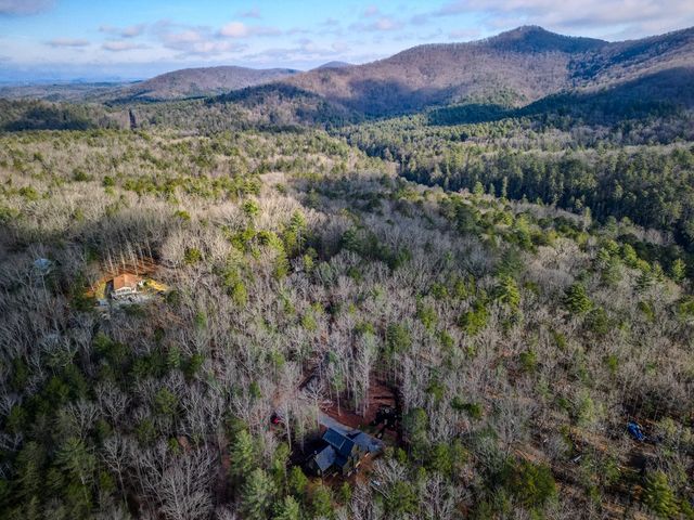 161 River Ridge Lane, Blue Ridge, GA 30513