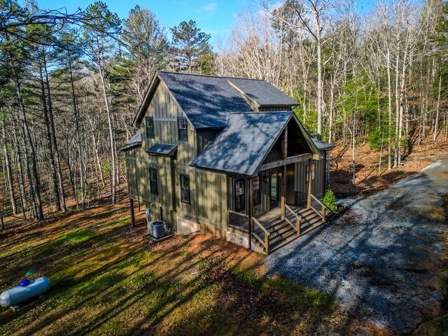 161 River Ridge Lane, Blue Ridge, GA 30513