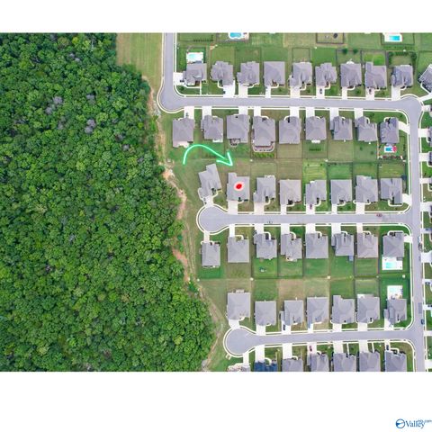 1312 Pecan Point Way, Huntsville, AL 35803