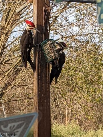 27 Old Middleville Rd, Fredon Twp., NJ 07860