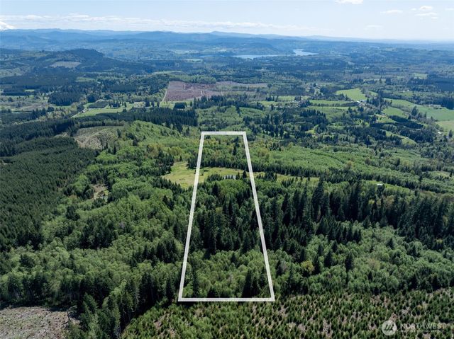 310 Dream View Lane, Cinebar, WA 98533