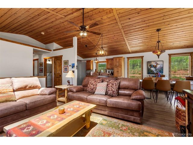 36 Iron Mountain Rd, Fairplay, CO 80440