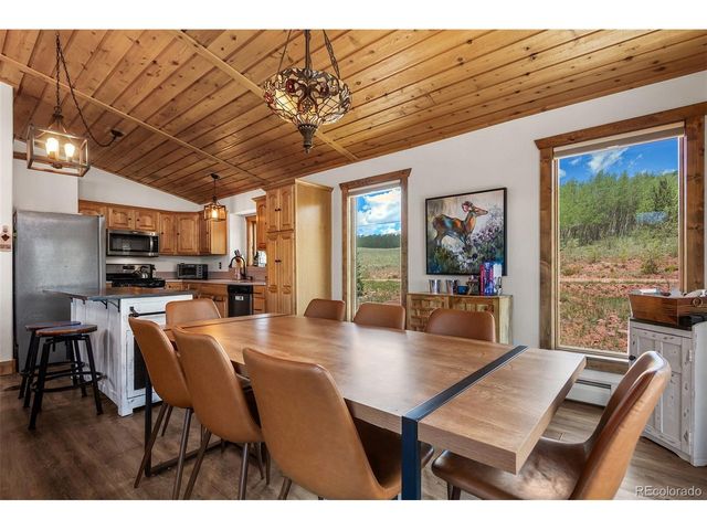 36 Iron Mountain Rd, Fairplay, CO 80440