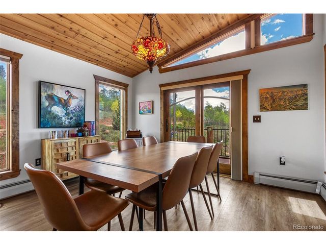 36 Iron Mountain Rd, Fairplay, CO 80440
