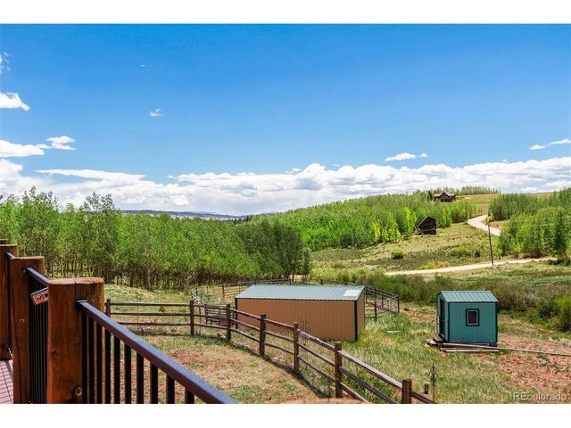 36 Iron Mountain Rd, Fairplay, CO 80440