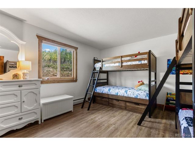 36 Iron Mountain Rd, Fairplay, CO 80440