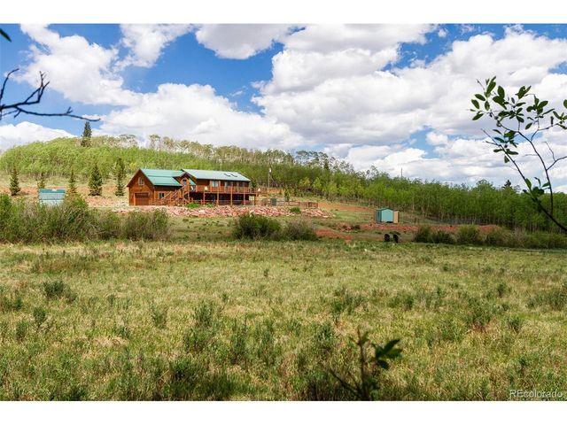 36 Iron Mountain Rd, Fairplay, CO 80440