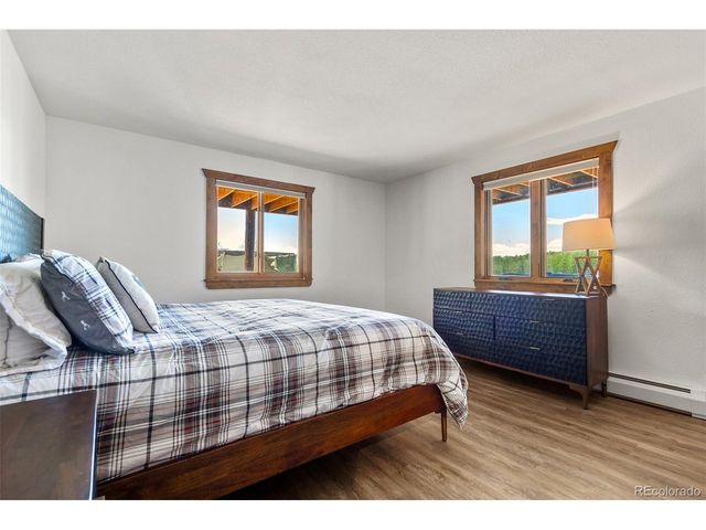 36 Iron Mountain Rd, Fairplay, CO 80440