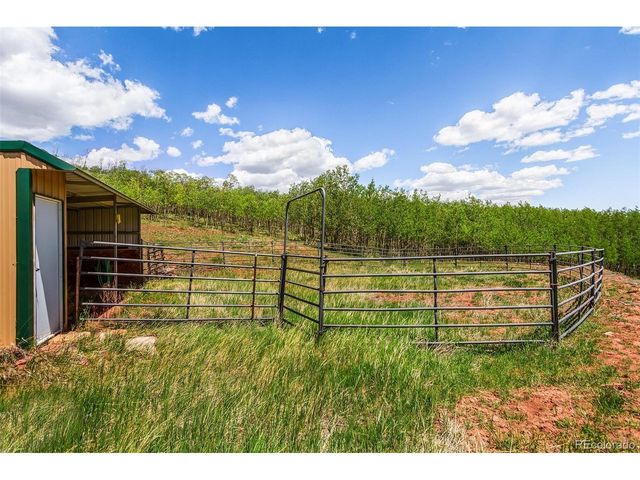 36 Iron Mountain Rd, Fairplay, CO 80440