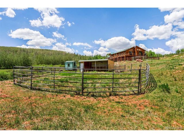 36 Iron Mountain Rd, Fairplay, CO 80440