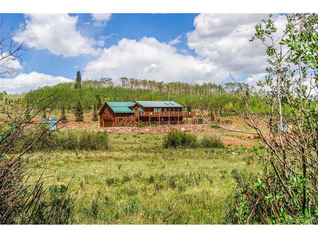 36 Iron Mountain Rd, Fairplay, CO 80440