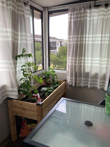 5967 TERRACE PARK DRIVE N 206, St Petersburg, FL 33709