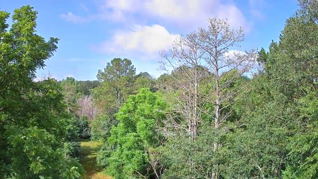 0 N Highway 341 246, Chickamauga, GA 30707