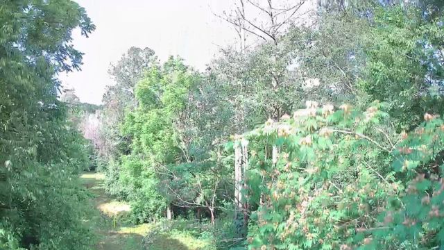 0 N Highway 341 246, Chickamauga, GA 30707