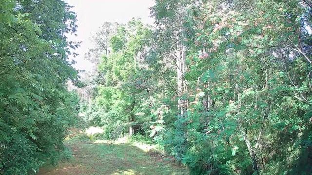 0 N Highway 341 246, Chickamauga, GA 30707